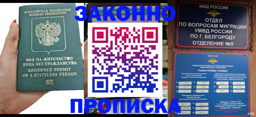 прописка для кредита в Новороссийске